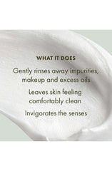 Origins Checks and Balances Frothy Face Wash