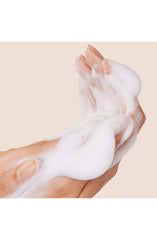 Origins Checks and Balances Frothy Face Wash