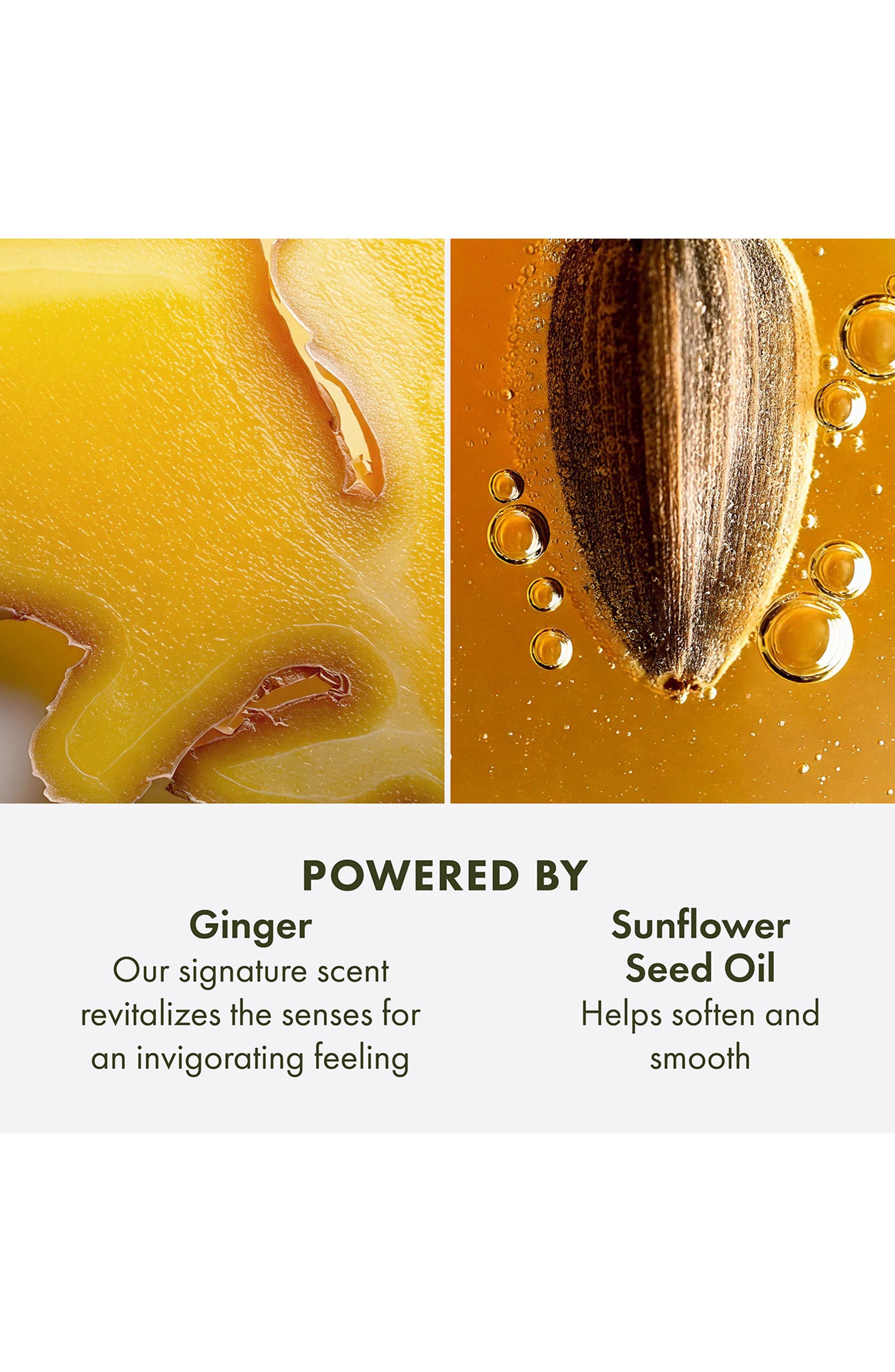 Origins Ginger Hand & Body Lotion