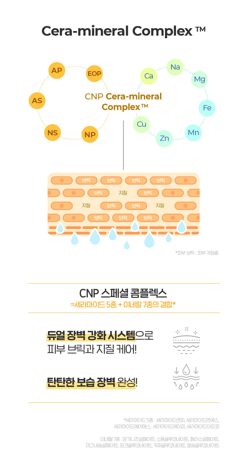 CNP Laboratory Hydro Cera Intense Cream