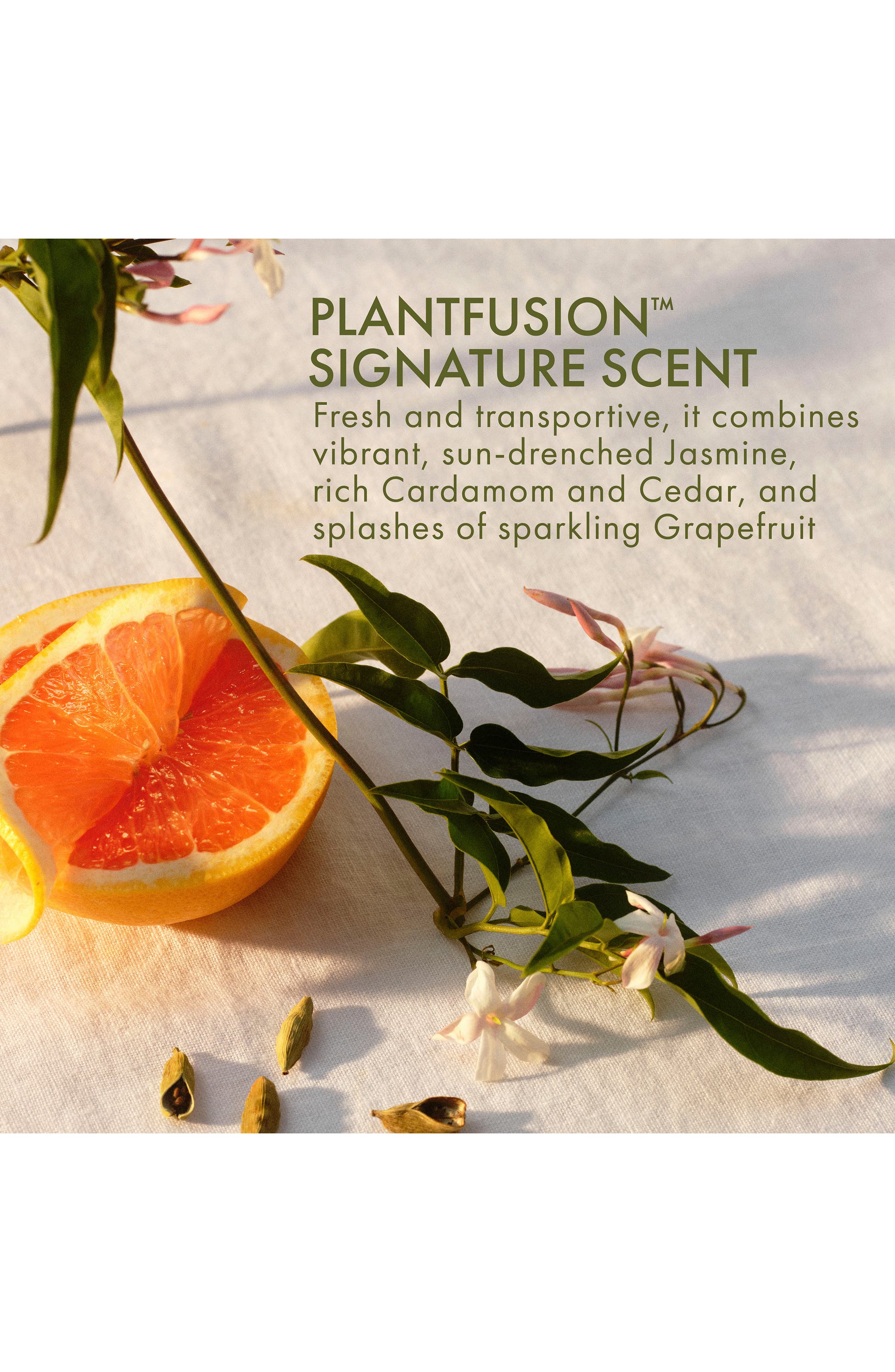 Origins Plantfusion Conditioning Hand & Body Wash With Phyto-Powered Complex