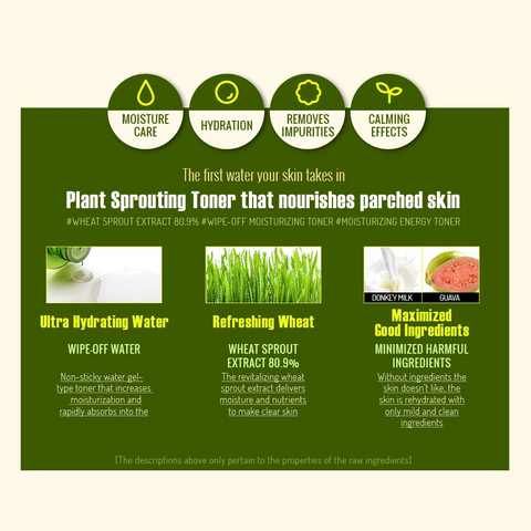 so natural 80.9% Plant Sprouting Essence Toner