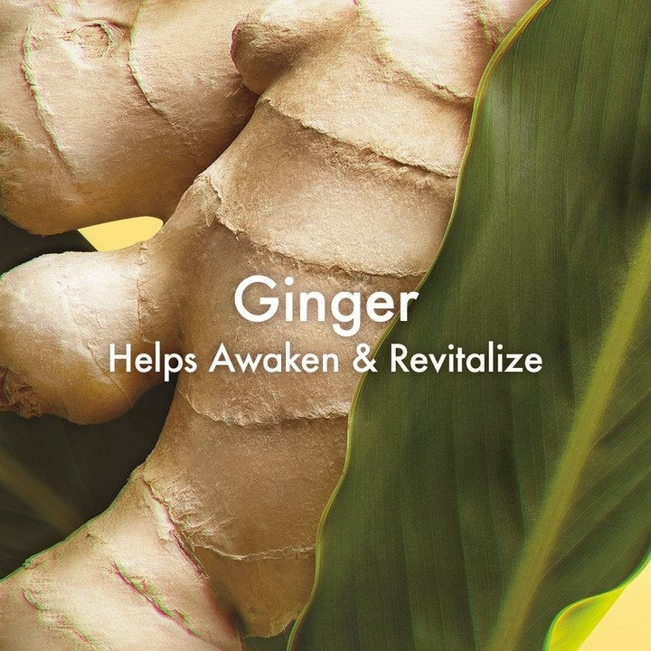 Origins Ginger Essence Sensuous Skin Scent, 3.4 fl. oz / 100 ml